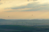 48�Ballone�am�Abendhimmel �ber Rheinhessen