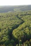 46�Schleichwege durch�den�Wald