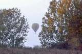 18 im Herbst �ber Wallertheim