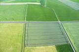 16�gr�nes�Schachbrett