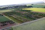 21 Baumschule Harvester Hof bei Linter