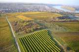 21�Blick�auf �Nierstein am�Rhein