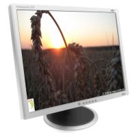 Bild Bildschirmschoner LULIFE 2009