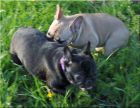 Jane und Kimberly 23.04.2012.jpg