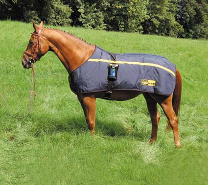 Magnetfeldtherapie f�r Pferde: EQUIMAG Profi-Set