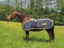 Magnetfeldtherapie f�r Pferde, Basis-Set von Equimag