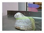 Site/P1020102.jpg