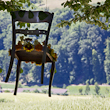 Kunst im Wald Maisprach 2011: Elke H&ouml;yl&auml;e-Vogt  mit Stuhlreihe Sitzen-Gelassen