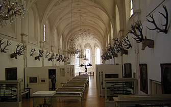 München, Malereibetrieb - Innenraumgestaltung, Stuckelemente, Stuck, stucco, Stuckgesimse, Gips, Mörtel, Stuckprofilen