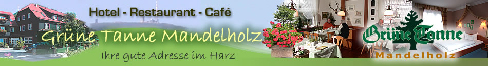 Hotel Gr�ne Tanne Mandelholz