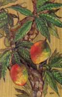 Mango as a piece of art