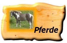 Horsemanship