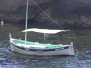 Pointus, barquettes...