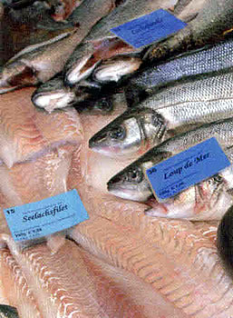 Marlin Seafood GmbH Wir liefern den Fisch. Fischgro�handel f�r R�ucherfisch, R�ucherlachs, R�ucheraal, Gravad Lachs, Stremel Lachs und andere leckere Fischspeziali�ten