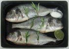 Dorade royal mit Meersalz, Rosmarin & Provencemarinade