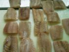 Victoriabarschfilet portioniert