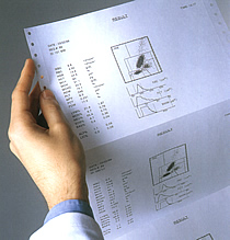 Pentra Ausdruck