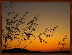 Slideshow 12.jpg