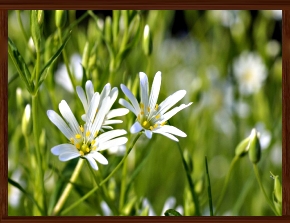 Slideshow 21.jpg