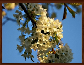 Slideshow 25.jpg