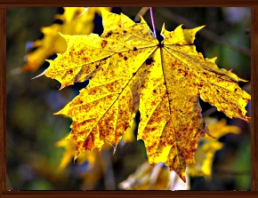 Slideshow 34.jpg