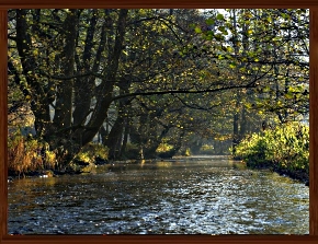 Slideshow 35.jpg