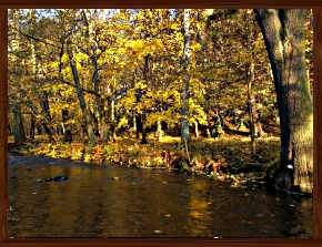 Slideshow 36.jpg