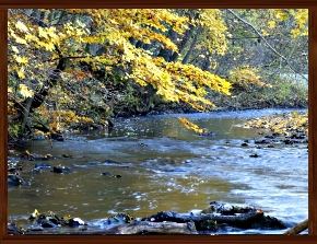 Slideshow 40.jpg