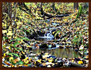 Slideshow 41.jpg