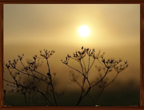 Slideshow 43.jpg