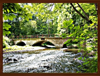 Slideshow 53.jpg