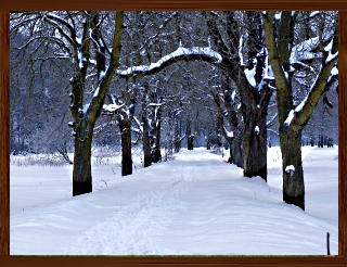 Slideshow 55.jpg