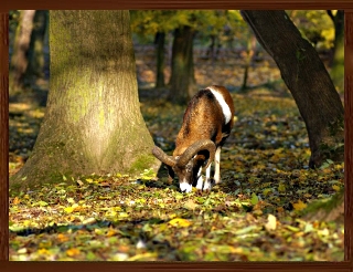 Slideshow 83.jpg