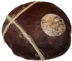 Wildbakers Vollmondbrot