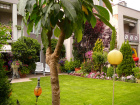 gartensitzplatz3_juni 08.jpg
