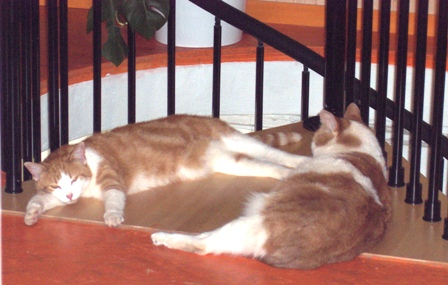 Winnie und Julia