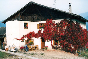 Mesner Hof