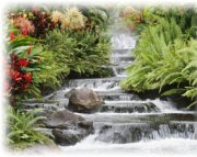 Mikunea bei Susanne Kallmes in Stuttgart - Ihre Vitalkraft wieder in harmonischem Fluss