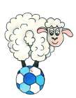 Fu�ball