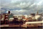 picture6.jpg