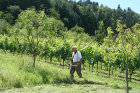 Obstwiese