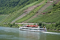 Pasagierschiff auf der Moselsteillage bei Ernst