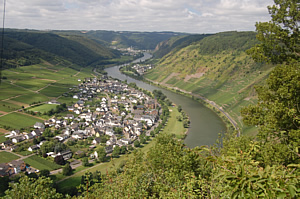 Weinort Ernst im Moseltal bei Cochem