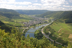 Blick auf die Moseschleife bei Ernst