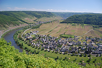 Blick auf Ernst bei Cochem an der Mosel