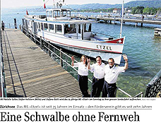 Eine Schwalbe ohne Fernweh