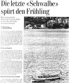 Die letzte Schwalbe sp&uuml;rt den Fr&uuml;hling