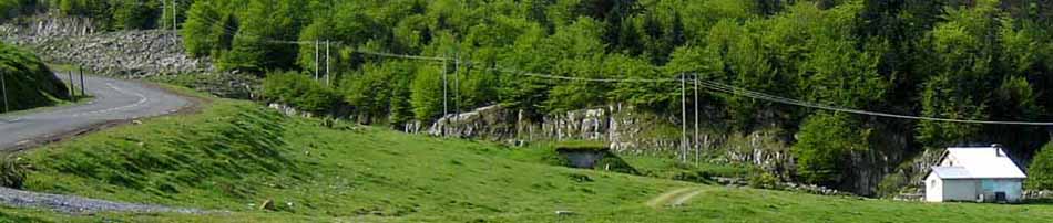 Banner kl3.jpg