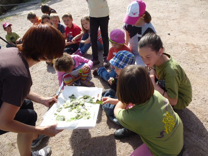 Kindergeburtstag