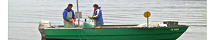 Berufsfischer Murtensee